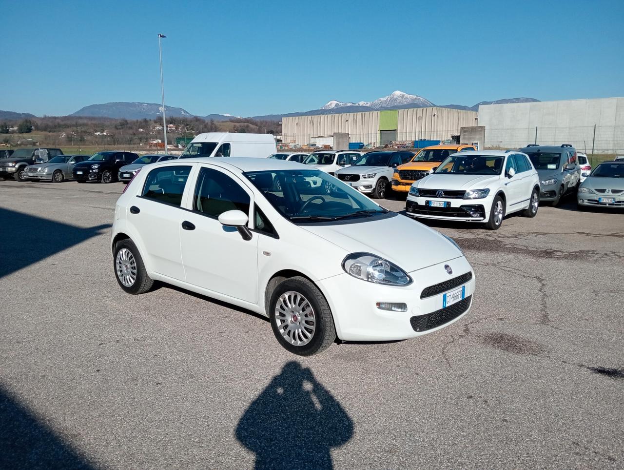 Fiat Punto 1.2 Street 5 porte OK NEOPATENTATI