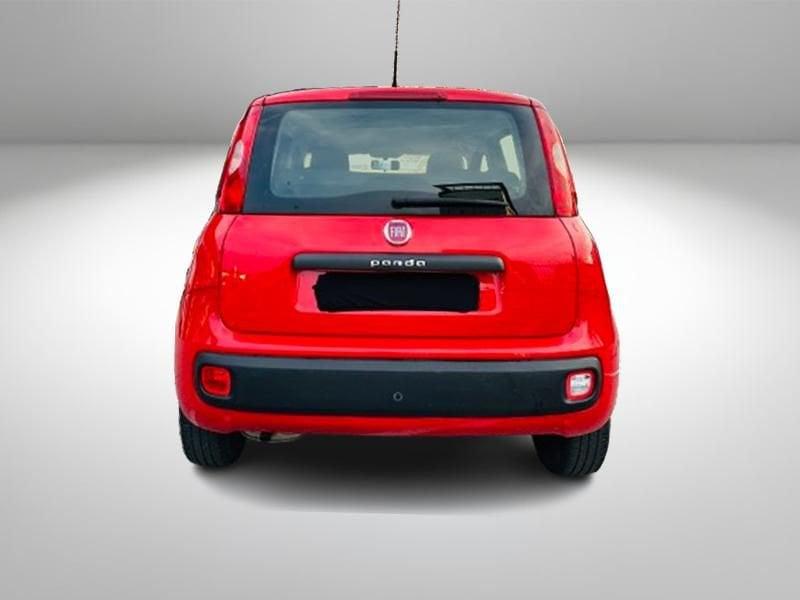 FIAT Panda Panda 1.2 Connected by Wind