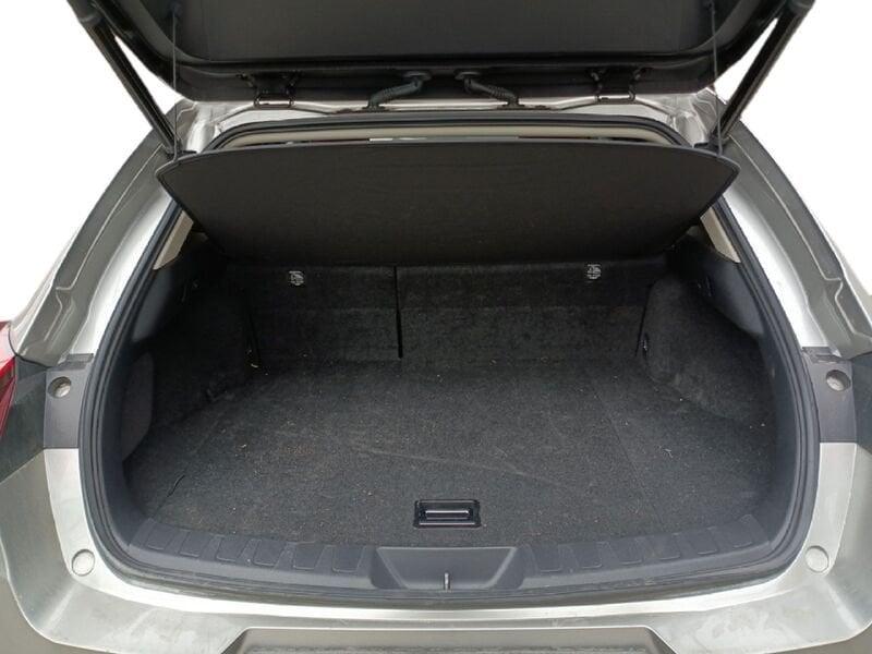 Lexus UX Hybrid Luxury 2WD