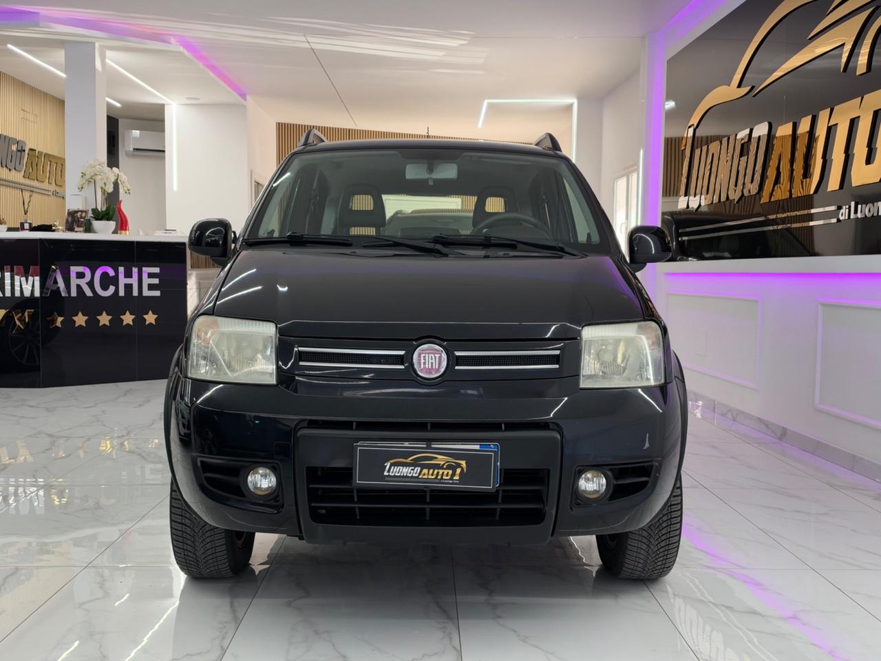Fiat Panda 1.3 MJT 75Cv 4x4 Climbing