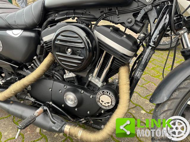 HARLEY-DAVIDSON 883 Sportster XL Iron