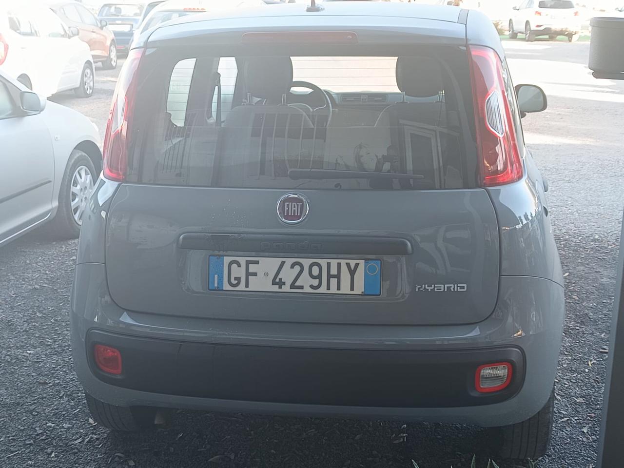 Fiat Panda 2021 - 1.0 FireFly S&S Hybrid Lb automobili