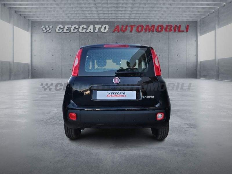 FIAT Panda Panda 1.0 70cv Hybrid Icon