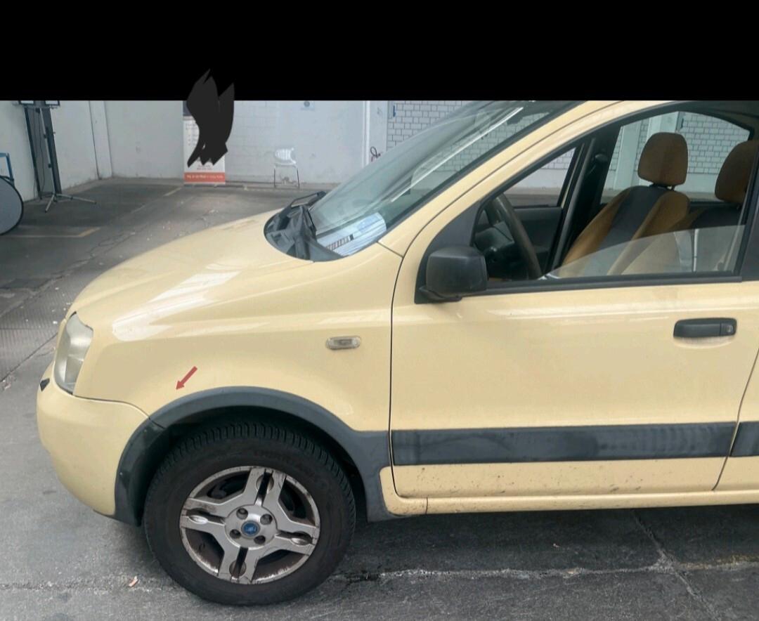 Fiat Panda 1.2 4x4 Climbing 2006