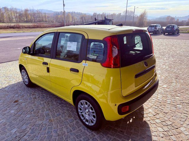 FIAT New Panda ICON - KM 0 10/2025- 5° POSTO - RADIO - SENSORI