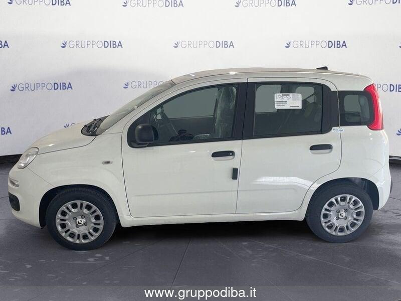 FIAT Pandina Panda 1.0 70cv Hybrid Panda