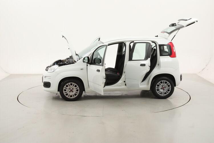Fiat Panda Easy BR250926 1.2 Benzina 69CV