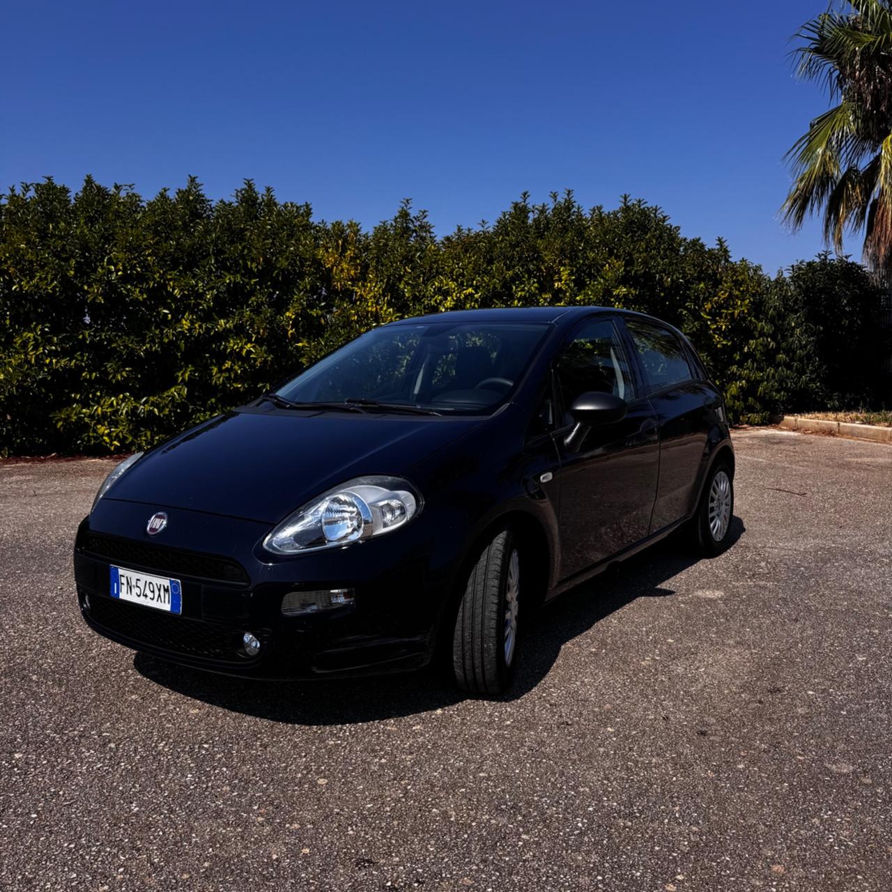 Fiat Punto 1.3 MJT II S&S 95 CV 5 porte Street