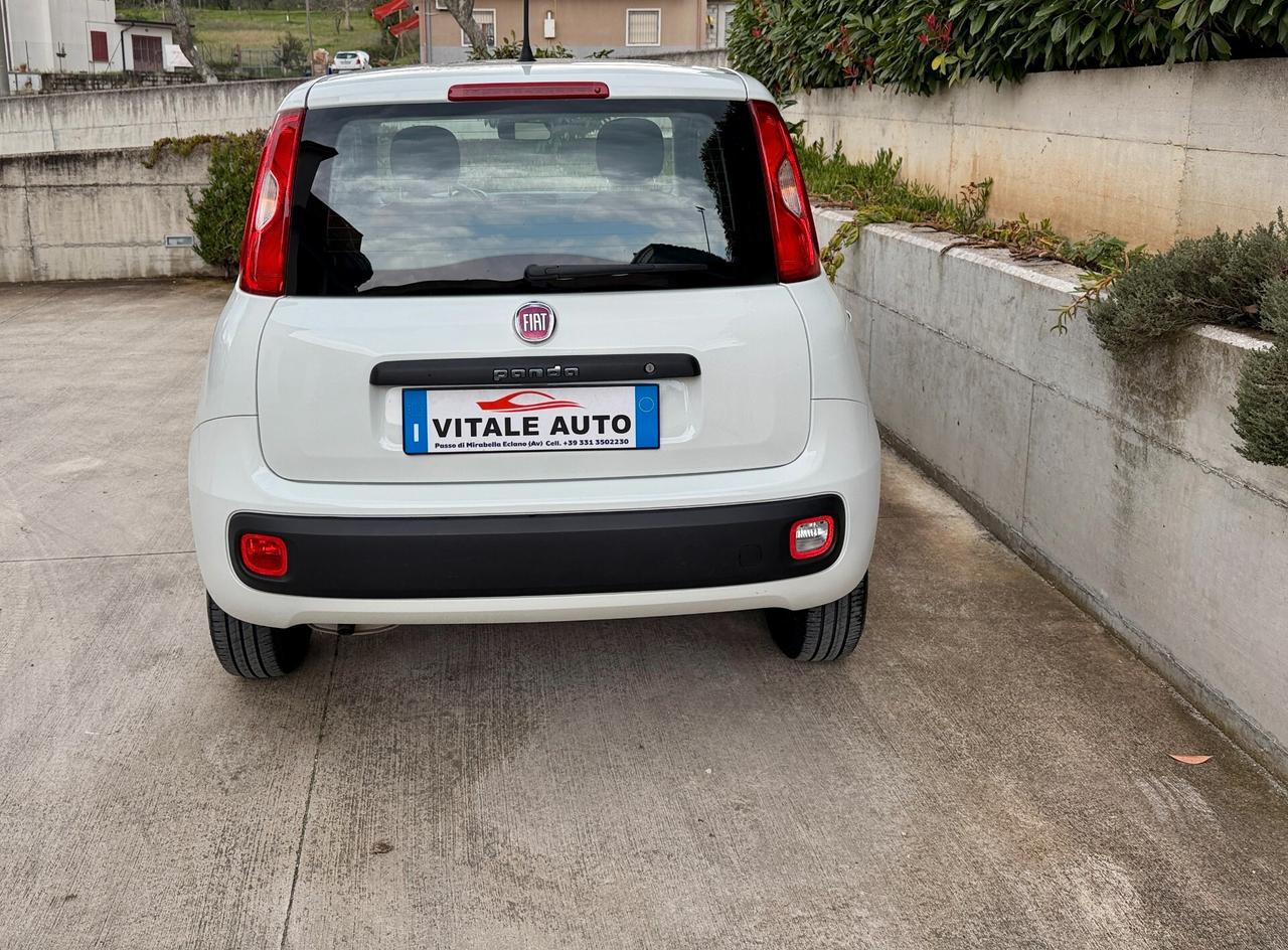 Fiat New Panda 1.2 cv 70 Euro 6B
