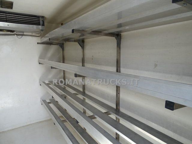 FORD Transit ISOTERMICO IN ATP FINO A 12/2026 - REVISIONATO