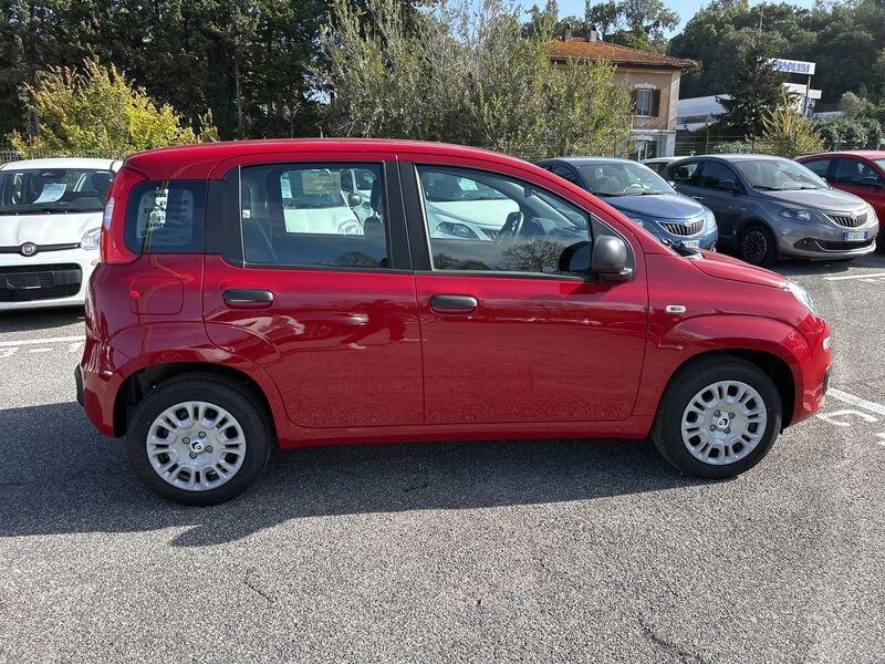 FIAT Panda New 1.0 70cv Hybrid Pop