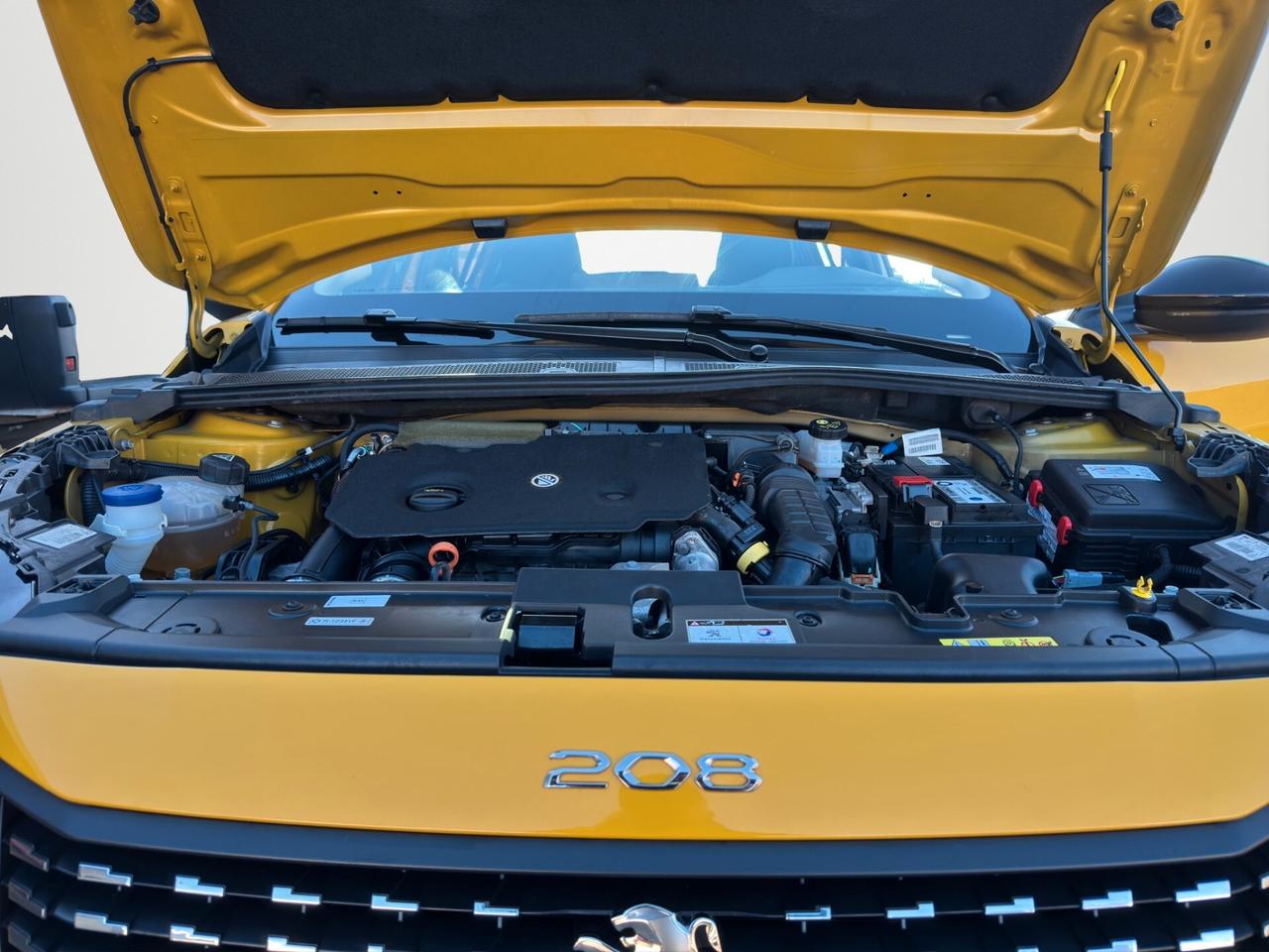 Peugeot 208 BlueHDi 100 Stop&Start 5 porte Active Pack