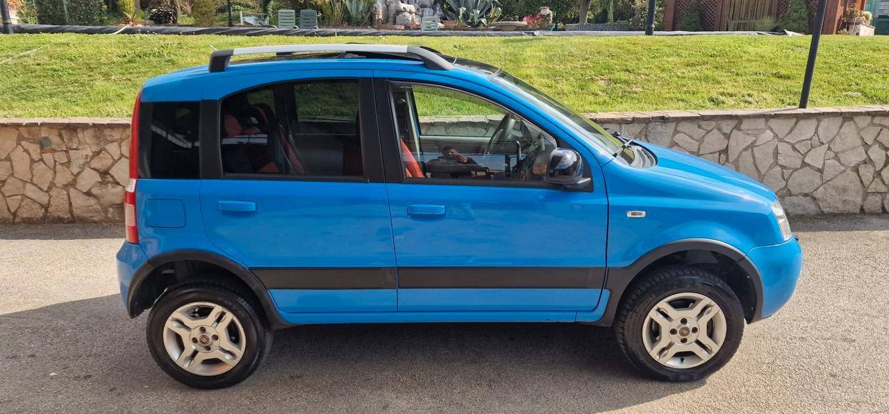 Fiat Panda 1.3 MJT 16V 4x4