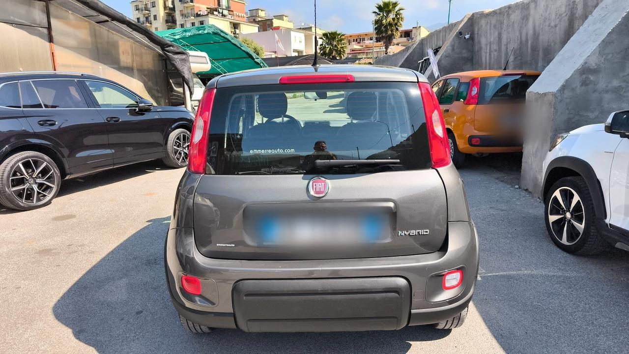 Fiat Panda 1.0 FireFly Hybrid City Life 2022 USATO