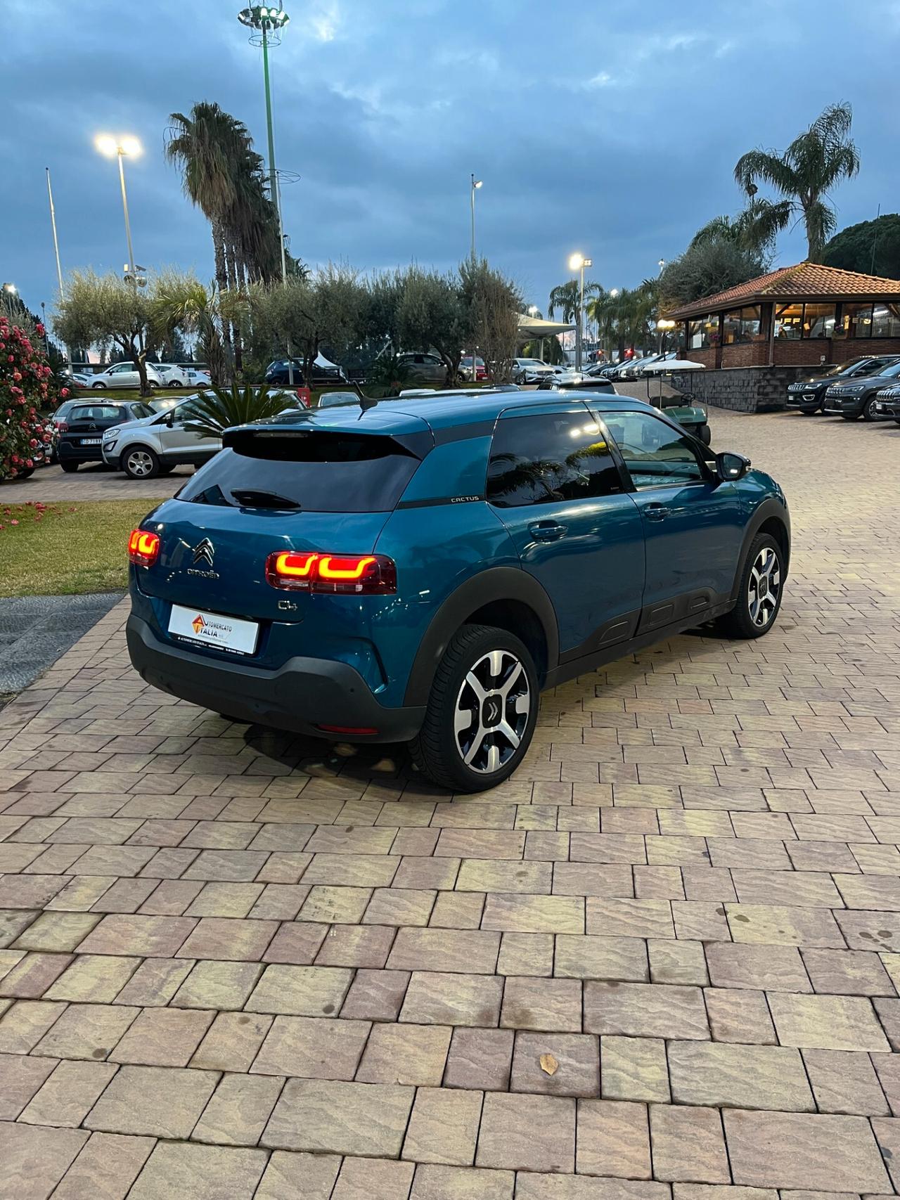 Citroen C4 Cactus BlueHDi 100 S&S Shine