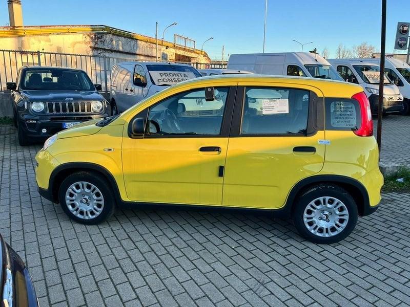 FIAT Panda 1.0 FireFly S&S Hybrid Pandina