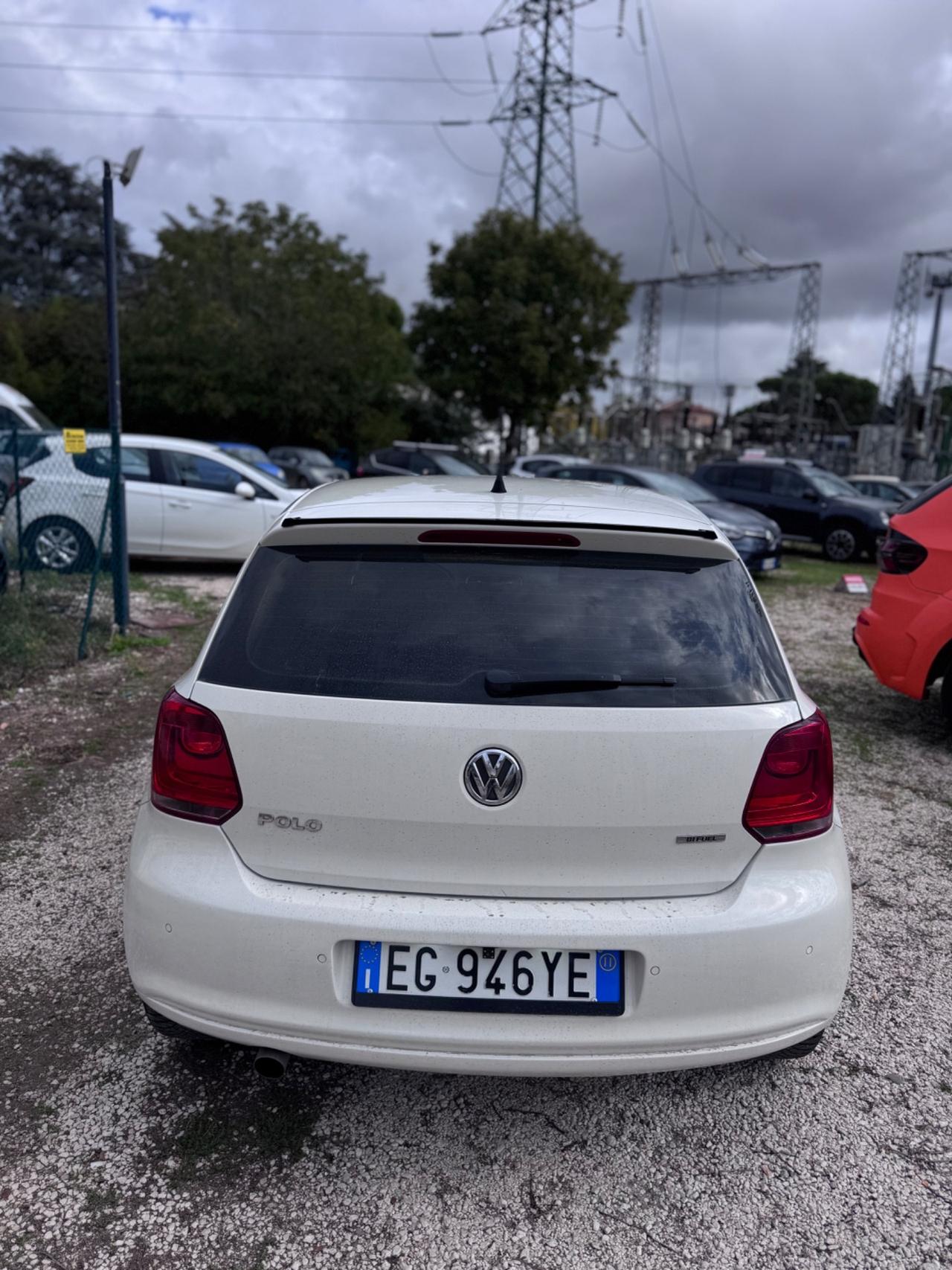 Volkswagen Polo 1.6 5 porte Comfortline BiFuel