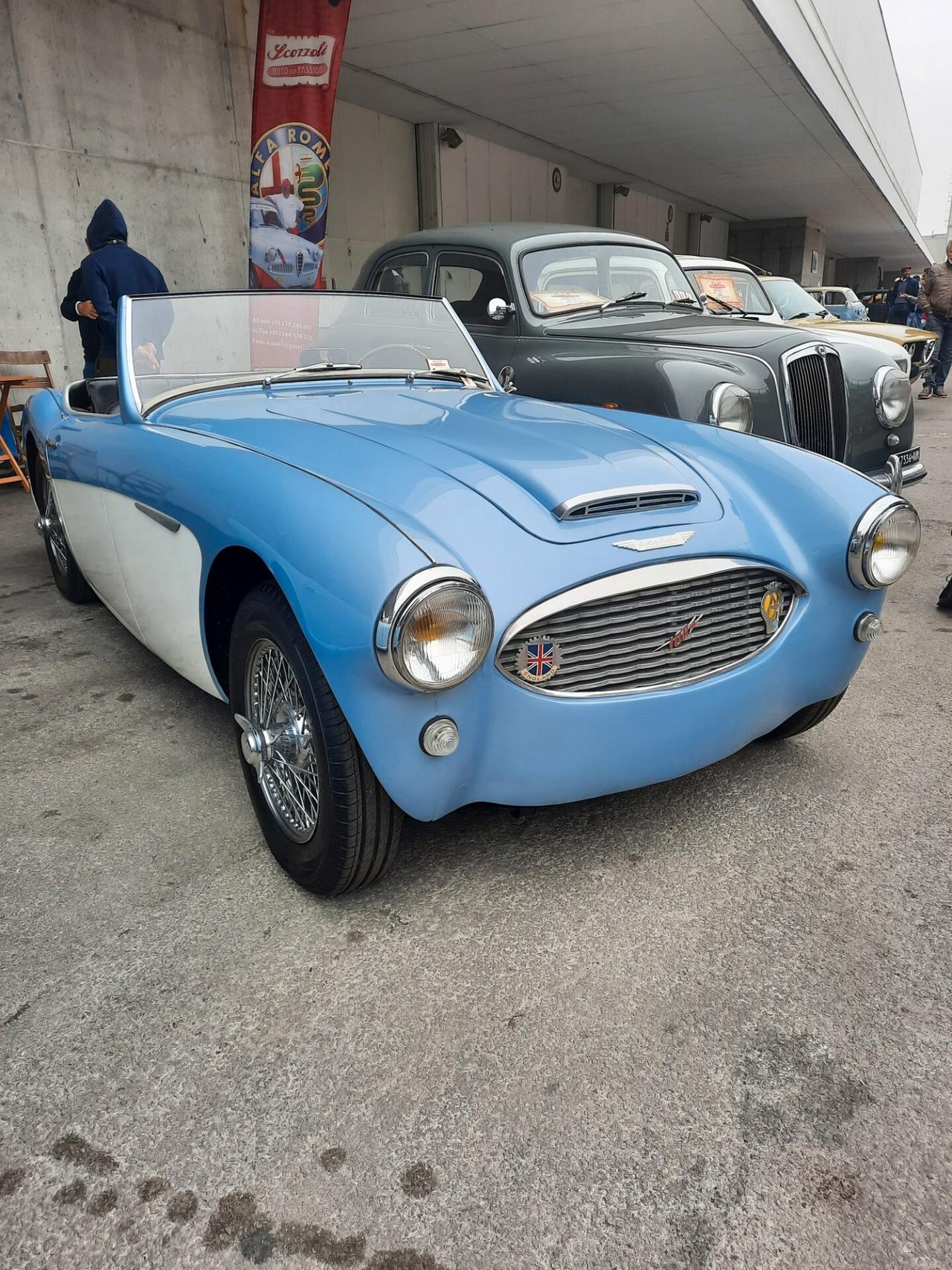 AUSTIN HEALEY