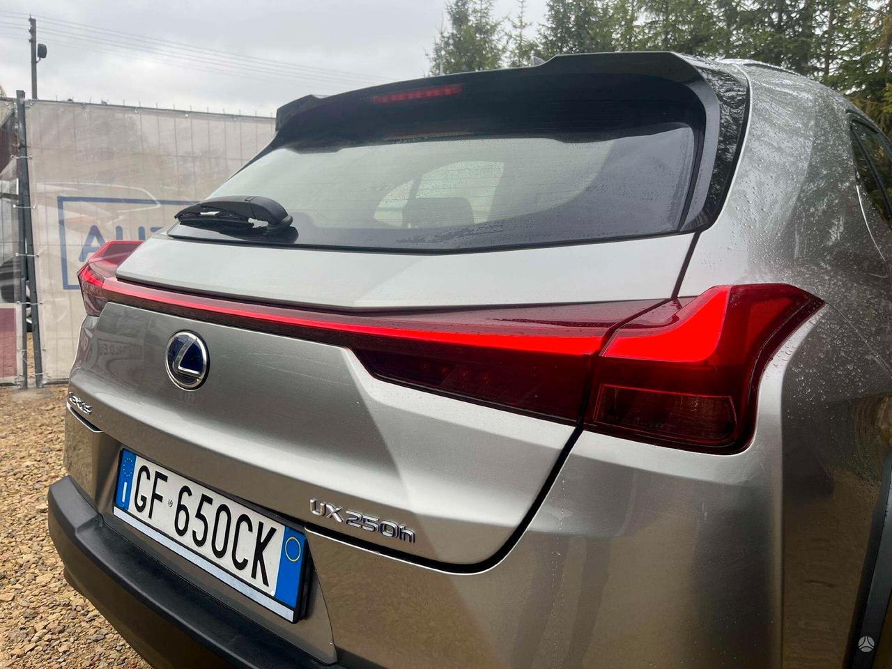 Lexus UX Hybrid Business