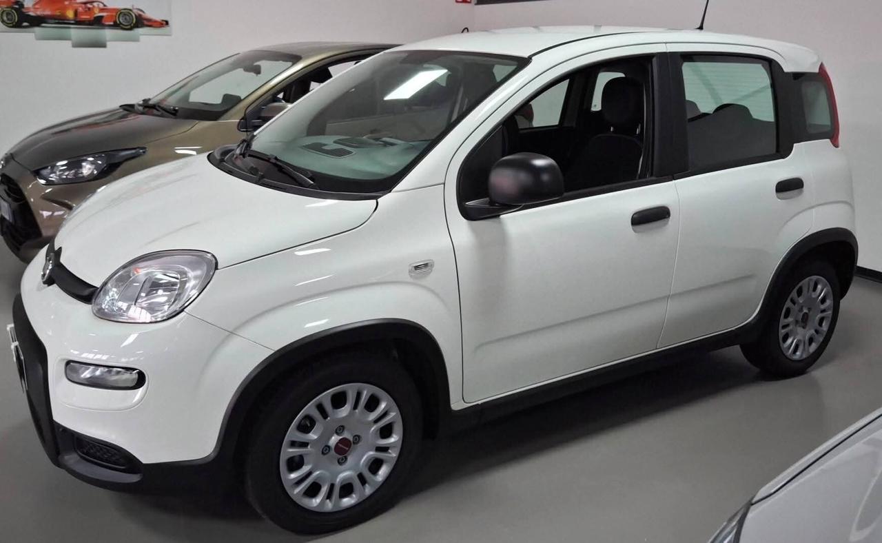 Fiat Panda 1.0 Hybrid km0 5posti Sensori parcheggio