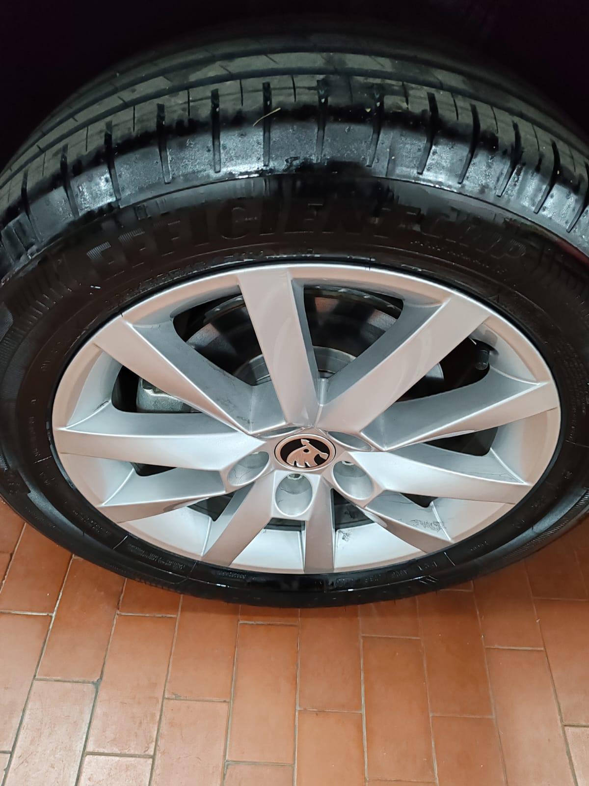 Skoda SCALA 1.0 tsi Ambition 110cv "SOLO 300 KM"