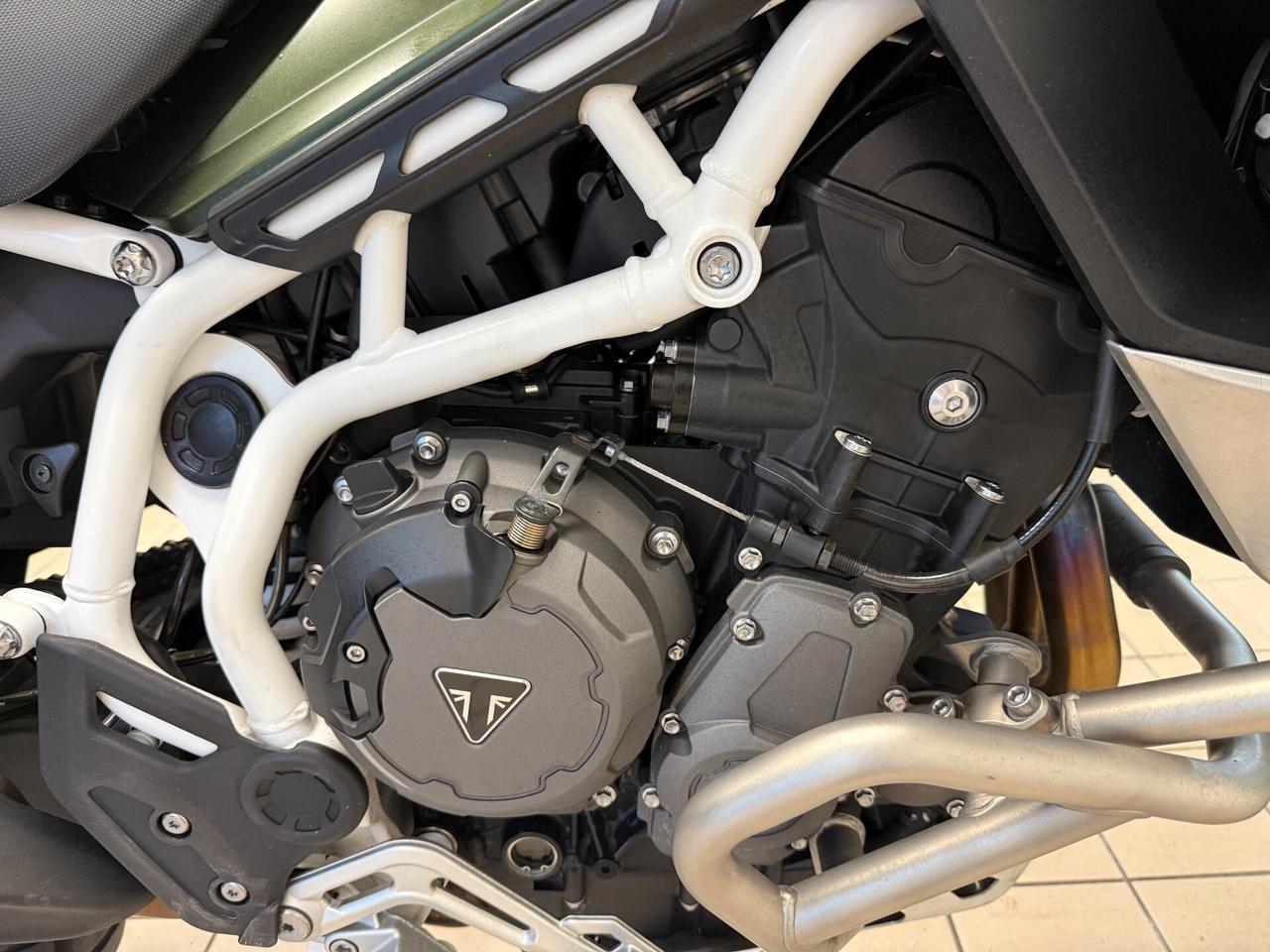 Triumph Tiger 900 RALLY GT PRO