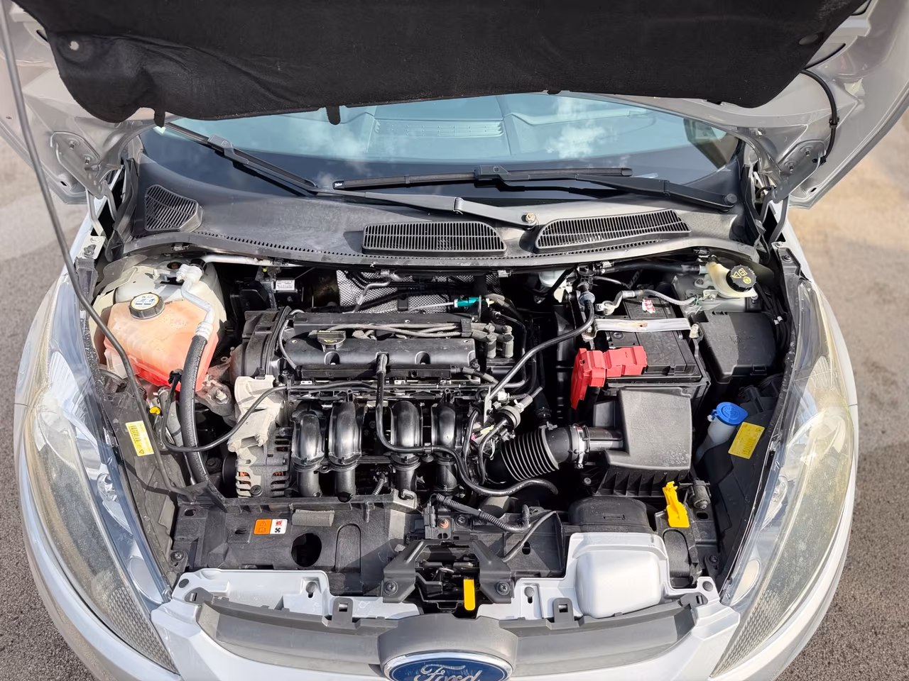 Ford Fiesta 1.2 82 CV 5 porte Titanium