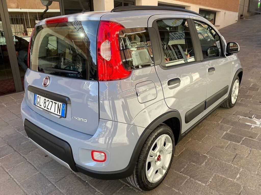 FIAT Panda 1.0 FireFly 5 porte S&S Hybrid NOLEGGIO