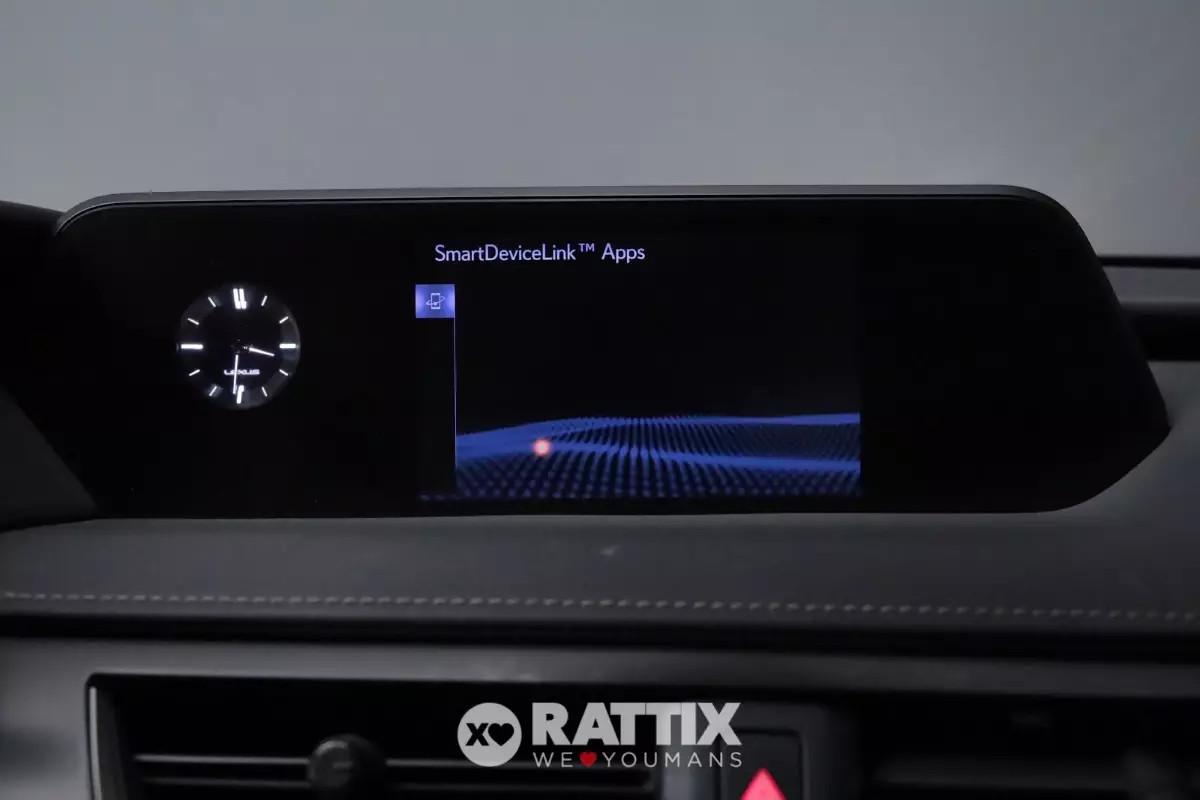 Lexus UX 250h 2.0 Hybrid Executive CVT 4WD