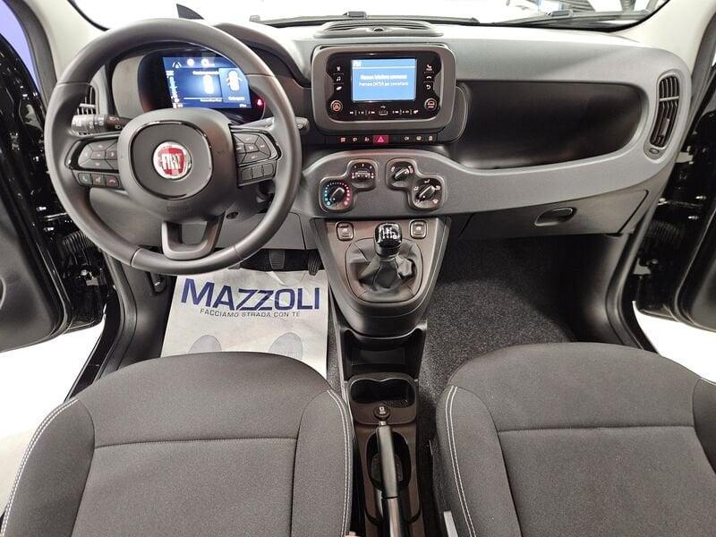 FIAT Pandina 1.0 firefly hybrid Icon s&s 65cv