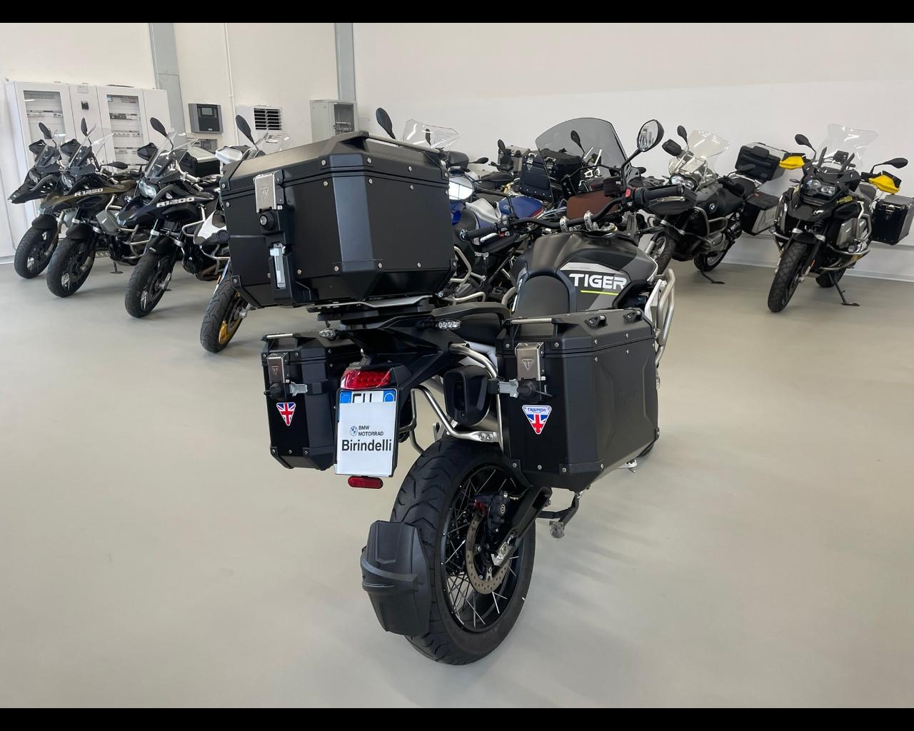 TRIUMPH Tiger 900 - Rally Aragòn Edition