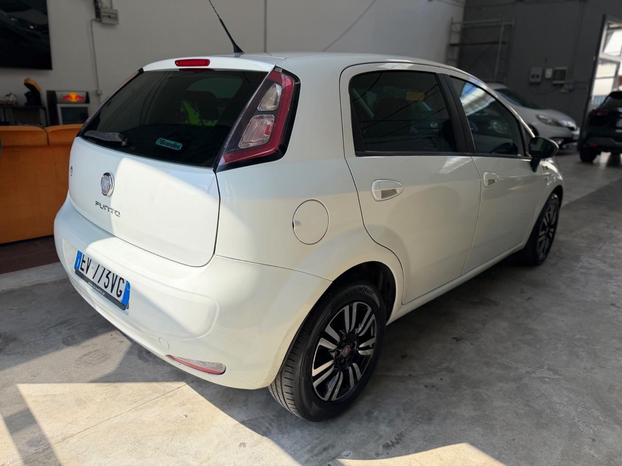 Fiat Punto 1.4 8V 5 porte Easypower Young