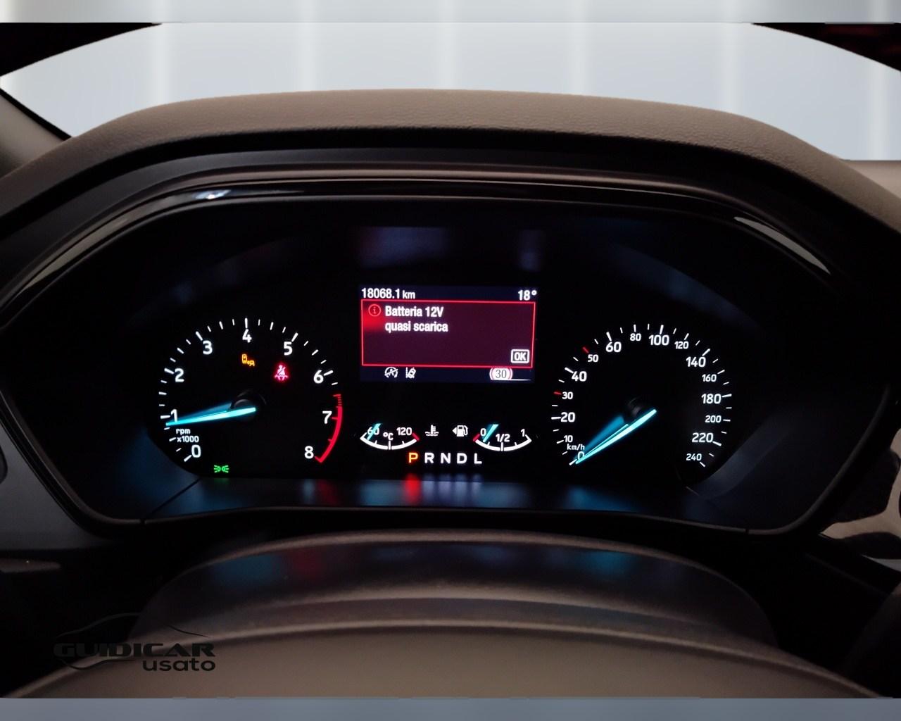 FORD Focus V 2022 - Focus 1.0t ecoboost h ST-Line 155cv powershift