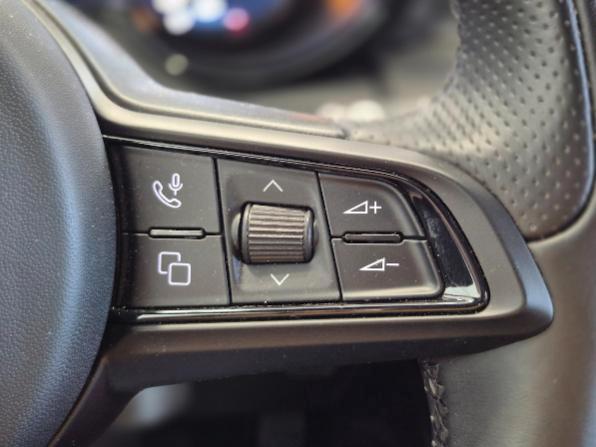 ALFA ROMEO Tonale 1.6 diesel 130 CV TCT6 TI N1 Autocarro