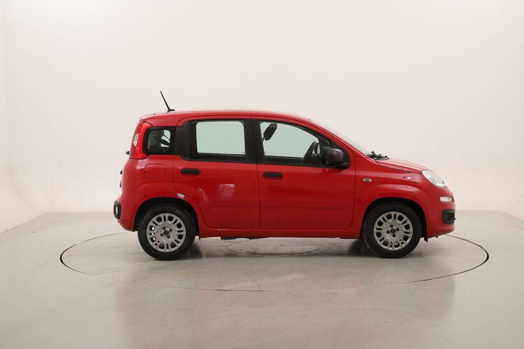Fiat Panda Easy BZ116888 1.0 Mild Hybrid 69CV
