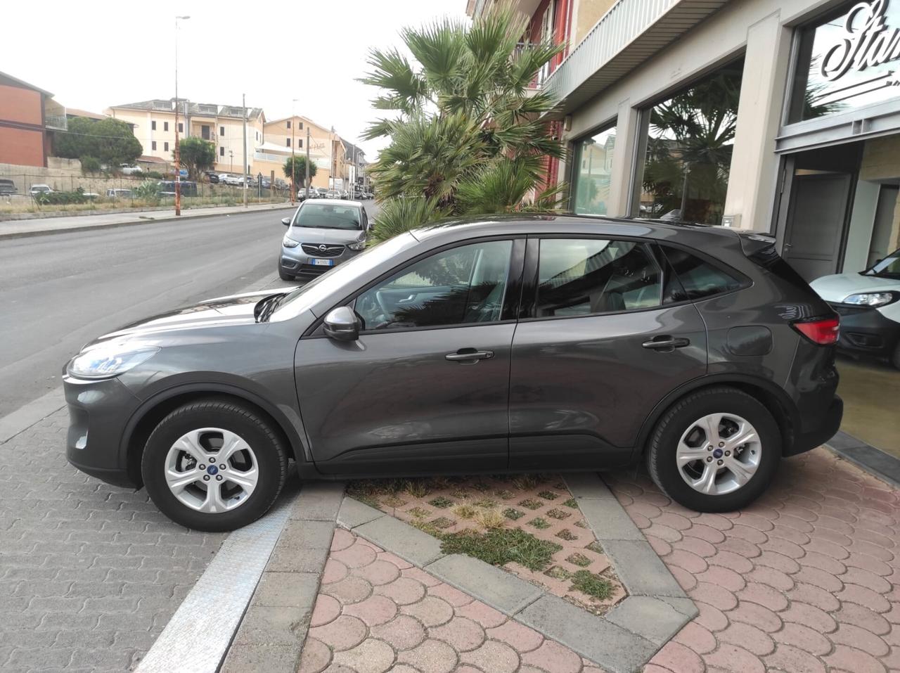 Ford Kuga 1.5 EcoBlue 120 CV aut. 2WD Connect