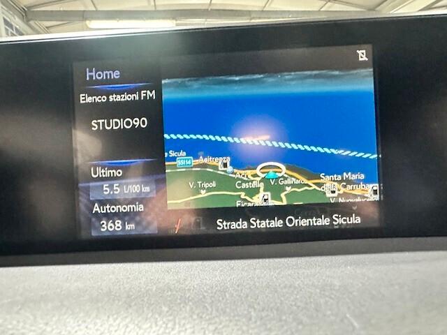 Lexus UX 250h HYBRID BUSINESS 2WD