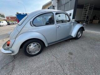 Volkswagen Maggiolino