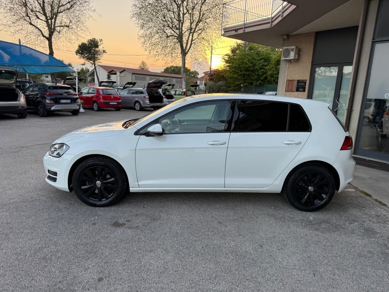 Volkswagen Golf Business 1.6 TDI 5p. 110cv