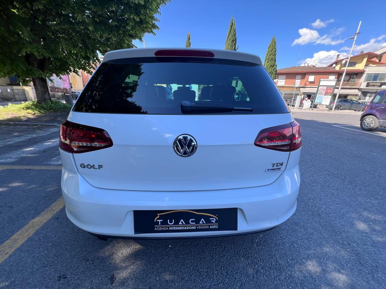 Volkswagen Golf VW Golf 1.6 TDI BlueMotion #10851