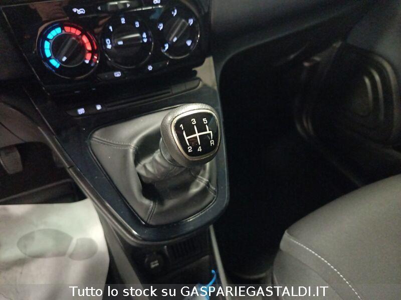 Lancia Ypsilon Ypsilon 1.2 69 CV 5 porte GPL Ecochic Gold