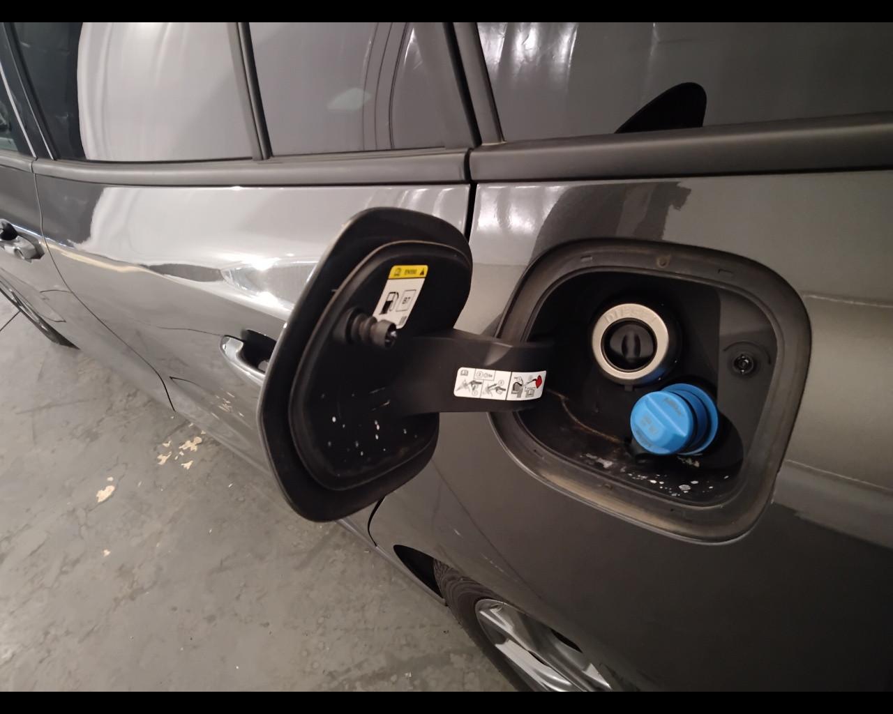 FORD Focus V 2022 SW - Focus SW 1.5 ecoblue ST-Line 115cv auto