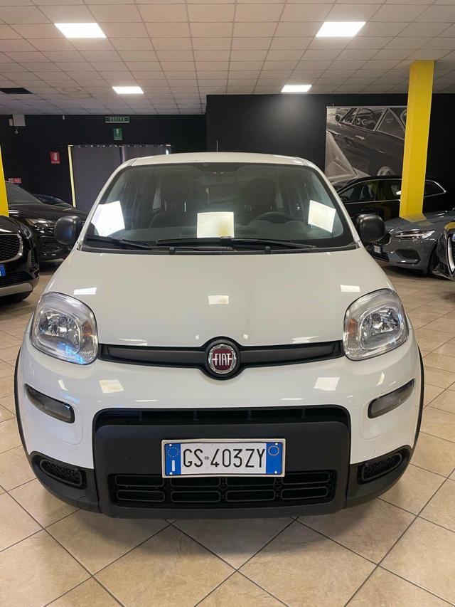 FIAT Panda 1.0 FireFly S&S Hybrid-PREZZO +IVA