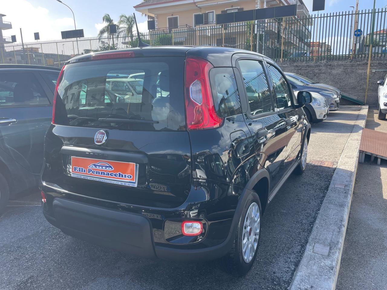 FIAT PANDA 1.2 GPL 69 (CV) 2023