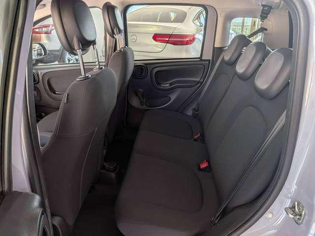 Fiat Panda Panda III 2020 1.0 hybrid City Cross s&s