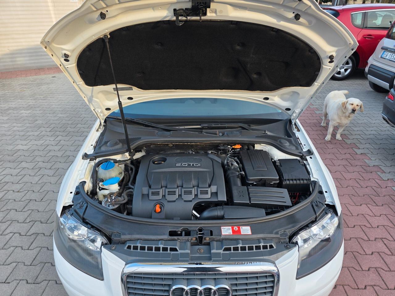 Audi A3 2.0 TDI 170 CV S tronic