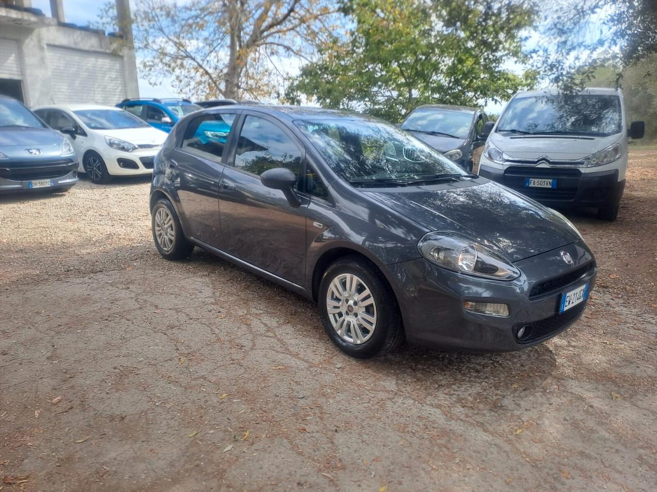 Fiat Punto 1.3 MJT II S&S 85 CV 5 porte ECO Lounge