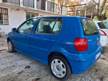 Volkswagen Polo 1.4 cat 5 porte Comfortline euro 4 km.106.00