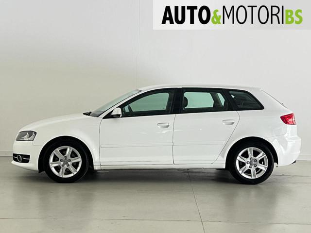 AUDI A3 SPB 1.6 TDI CR F.AP. Young Edition