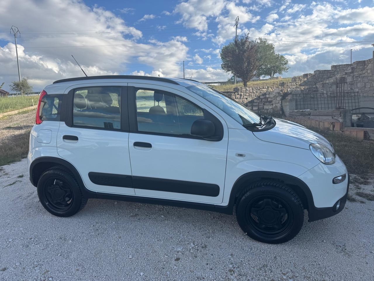 Fiat Panda Cross 1.3 MJT 95 CV S&S 4x4